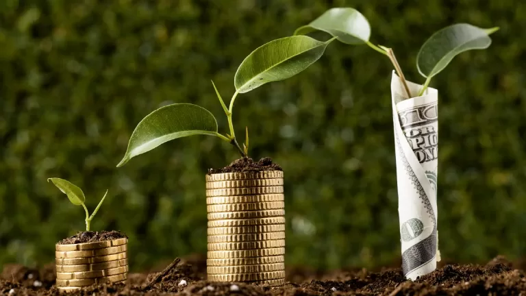 Inversión en tierra, un refugio para tu futuro financiero